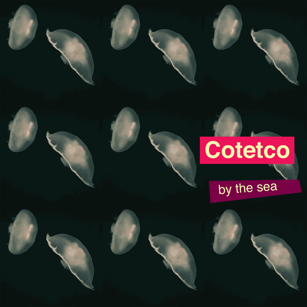 Cotetco - By the Sea artwork