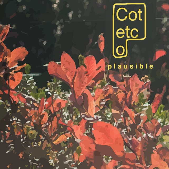 Cover art for Plausible