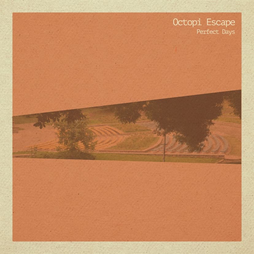 Cover art for Perfect Days